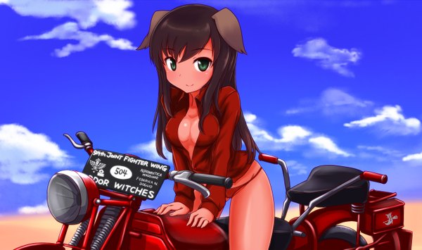 Anime picture 1350x800 with strike witches federica n doglio a9b (louis814) single long hair blush fringe breasts light erotic smile wide image brown eyes green eyes animal ears looking away sky cleavage cloud (clouds) nipples no bra