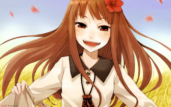 Anime picture 1920x1200 with spice and wolf horo katkoota single long hair blush highres open mouth smile red eyes brown hair wide image animal ears sky tail hair flower wolf ears wolf girl field girl