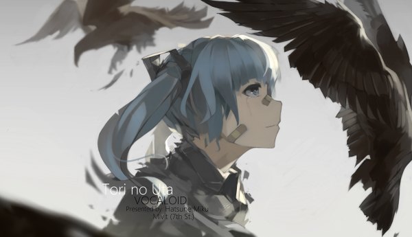 Anime picture 1200x691 with vocaloid hatsune miku mivit single long hair fringe blue eyes smile wide image twintails blue hair looking away profile close-up flying bandaid on face bandaid on nose girl animal bird (birds)