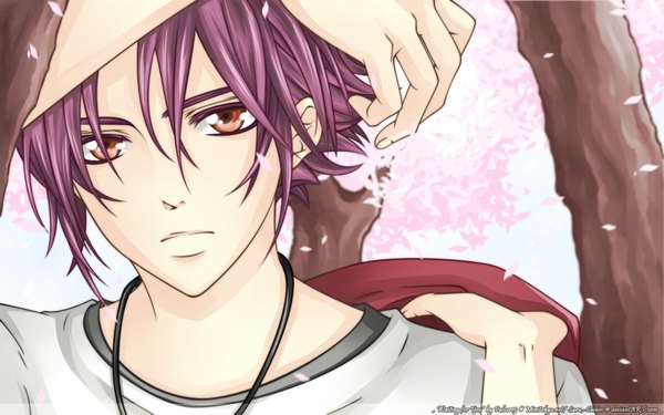 Anime picture 1920x1200 with la corda d'oro kiniro no corda etou kiriya yuki kure highres red eyes wide image purple hair boy petals