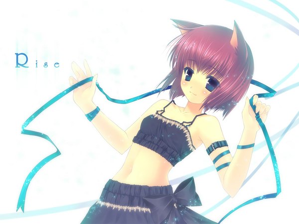 Anime picture 1024x768 with toto seiro animal ears cat girl girl tagme
