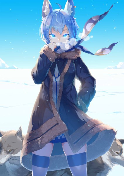 Anime-Bild 1446x2046 mit virtual youtuber animare souya ichika kokka han single tall image looking at viewer fringe short hair blue eyes standing animal ears blue hair sky ahoge outdoors fur trim glowing winter glowing eye (eyes)