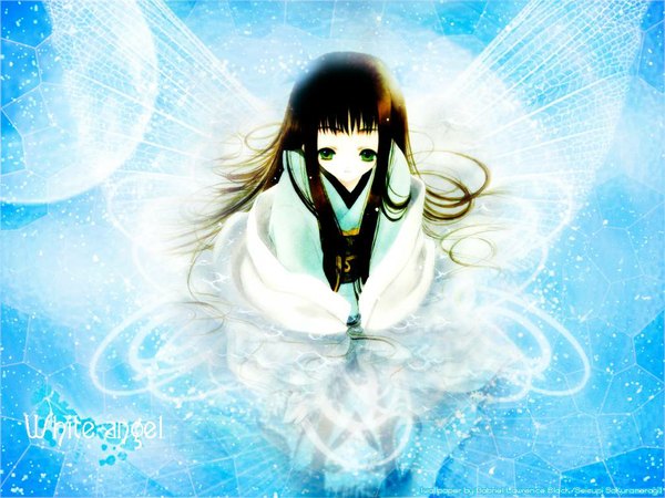 Anime picture 1024x768 with original azumi tooru single long hair brown hair green eyes japanese clothes blue background third-party edit insect wings butterfly wings girl belt kimono