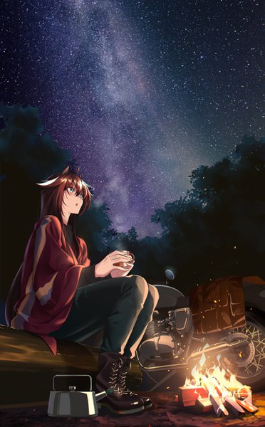 Anime picture 1550x2500 with arknights meteor (arknights) shijie jianfa single long hair tall image blush fringe open mouth hair between eyes brown hair sitting animal ears full body ahoge outdoors multicolored hair aqua eyes night two-tone hair
