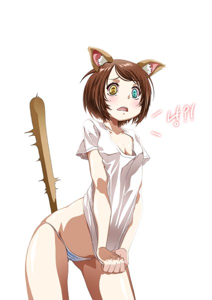 Anime picture 900x1273 with rantia (artist) single tall image blush short hair light erotic simple background brown hair white background animal ears tail animal tail cat ears cat girl cat tail heterochromia girl underwear panties t-shirt