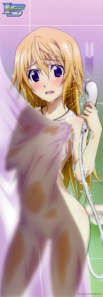 Anime picture 1689x4842 with infinite stratos 8bit charles dunois single long hair tall image blush open mouth light erotic blonde hair purple eyes girl shower