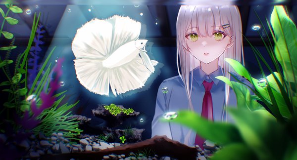 Anime picture 1920x1038 with original nagi (pickles pipipi) single long hair highres wide image green eyes looking away silver hair upper body girl uniform school uniform animal shirt necktie bobby pin bubble (bubbles) fish (fishes) aquarium