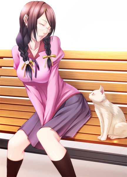 Anime picture 720x1000 with bakemonogatari shaft (studio) monogatari (series) hanekawa tsubasa shokuyou mogura long hair tall image brown eyes looking away purple hair braid (braids) one eye closed wink girl skirt uniform school uniform animal socks glasses