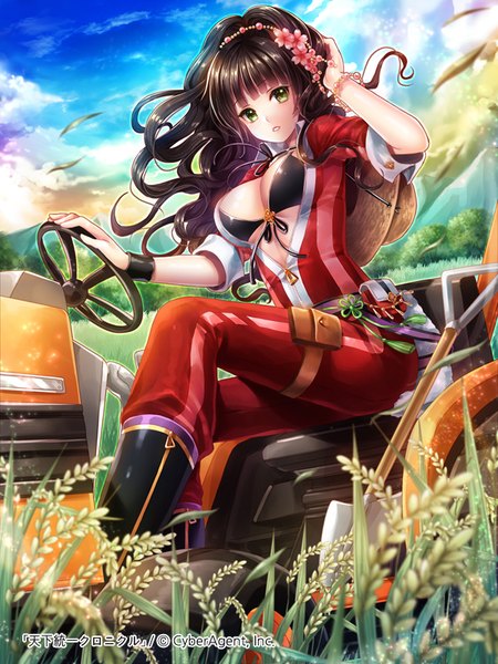 Anime picture 600x800 with original kempin single long hair tall image looking at viewer breasts light erotic black hair green eyes sky cloud (clouds) hair flower girl hair ornament flower (flowers) plant (plants) grass bikini top