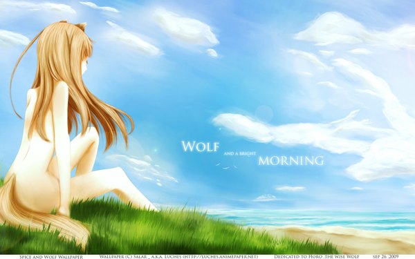 Anime picture 1920x1200 with spice and wolf horo highres light erotic wide image sky