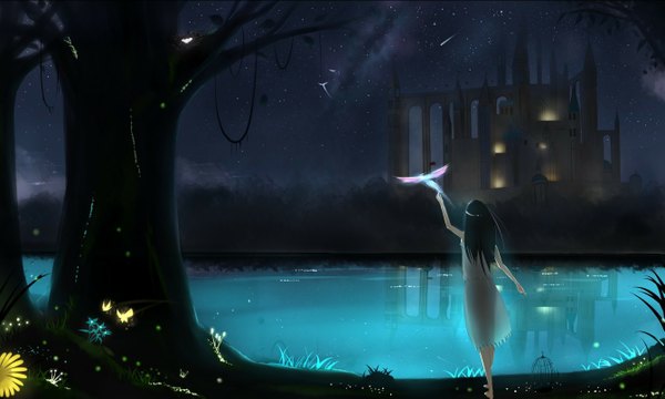 Anime picture 1341x805 with original littlepotato single long hair black hair wide image night lake girl dress flower (flowers) plant (plants) animal tree (trees) bird (birds) insect butterfly castle cage