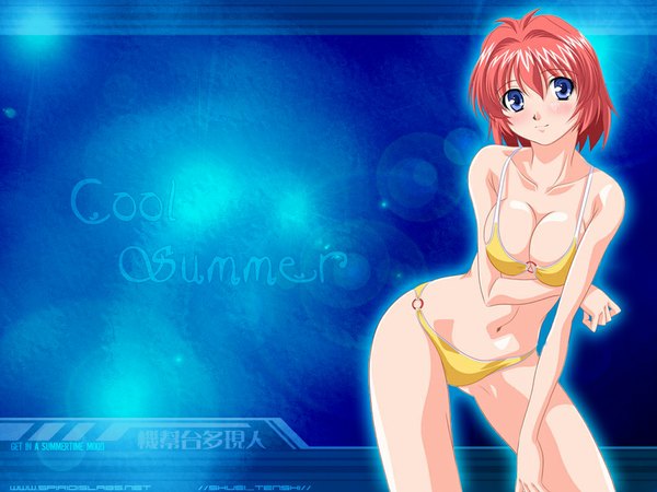 Anime picture 1024x768 with blush short hair blue eyes light erotic red hair navel swimsuit bikini cool-summer