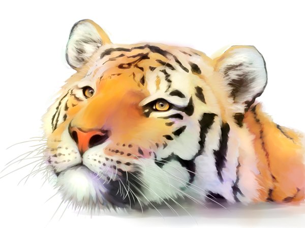 Anime picture 1400x1050 with original hanaji single simple background white background animal tiger