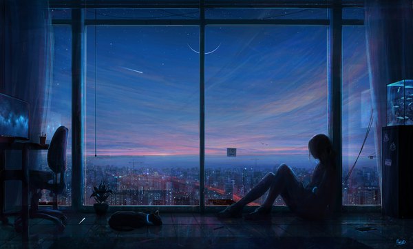 Anime picture 4865x2929 with original ricodz single long hair highres wide image sitting signed absurdres full body bent knee (knees) indoors night night sky city cityscape city lights shooting star girl plant (plants)
