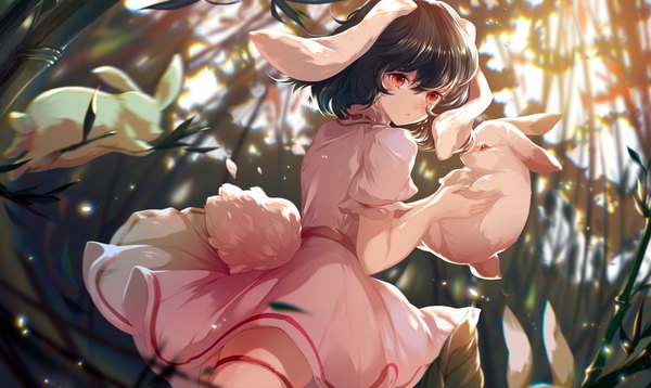 Anime picture 1924x1148 with touhou inaba tewi azusa0v0 single fringe highres short hair black hair hair between eyes red eyes wide image holding animal ears outdoors tail animal tail from below bunny ears bunny girl bunny tail