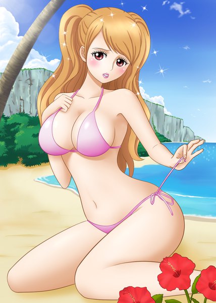 Anime picture 900x1260 with one piece toei animation charlotte pudding himumu (cyah7528) single long hair tall image looking at viewer blush fringe breasts light erotic brown hair large breasts sitting twintails bare shoulders brown eyes sky cleavage