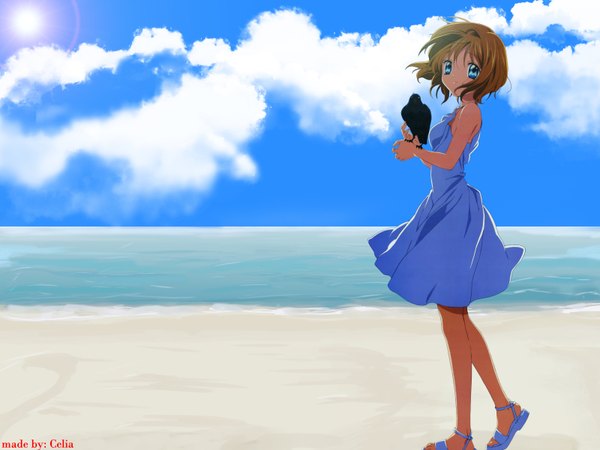 Anime picture 1600x1200 with air key (studio) kamio misuzu short hair blue eyes brown hair cloud (clouds) beach girl animal bird (birds) crown sandals