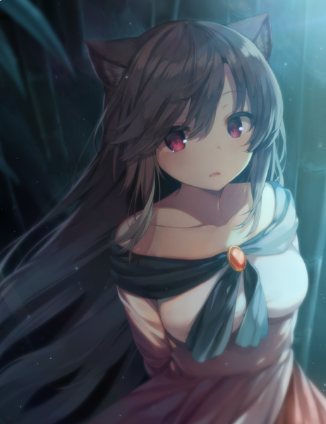 Anime picture 700x909 with touhou imaizumi kagerou shnva single long hair tall image looking at viewer blush fringe breasts hair between eyes brown hair bare shoulders animal ears upper body parted lips pink eyes from above wind off shoulder
