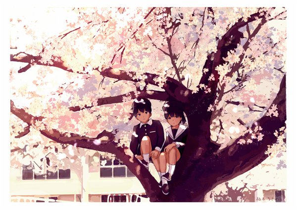 Anime picture 900x636 with original kashiwagi chisame looking at viewer fringe black hair sitting signed full body bent knee (knees) black eyes multiple boys cherry blossoms border hand on knee spring tree sitting boy uniform plant (plants) school uniform