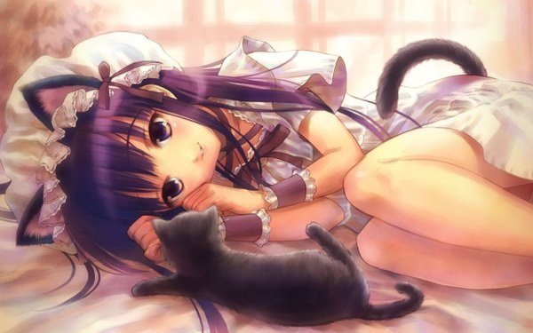Anime picture 2560x1600 with tsukuyomi moon phase hazuki goto p single highres wide image animal ears cat girl girl