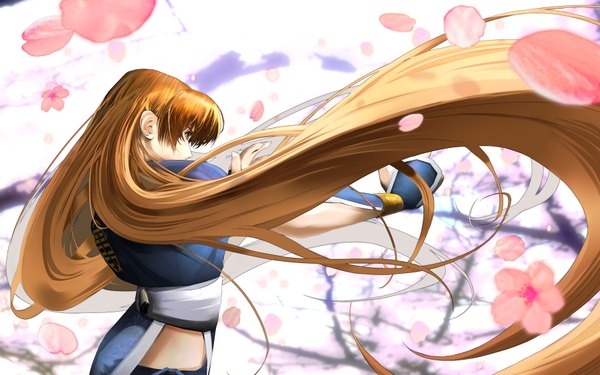 Anime picture 3600x2250 with dead or alive ninja gaiden kasumi (doa) single long hair highres blonde hair wide image brown eyes absurdres cherry blossoms girl petals