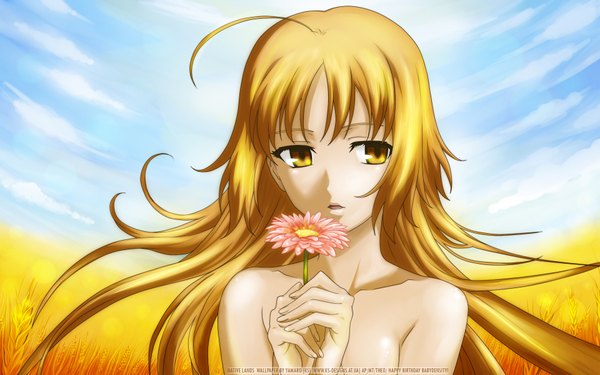 Anime picture 1920x1200 with canaan type-moon oosawa maria long hair highres blonde hair wide image yellow eyes looking away sky cloud (clouds) girl flower (flowers)
