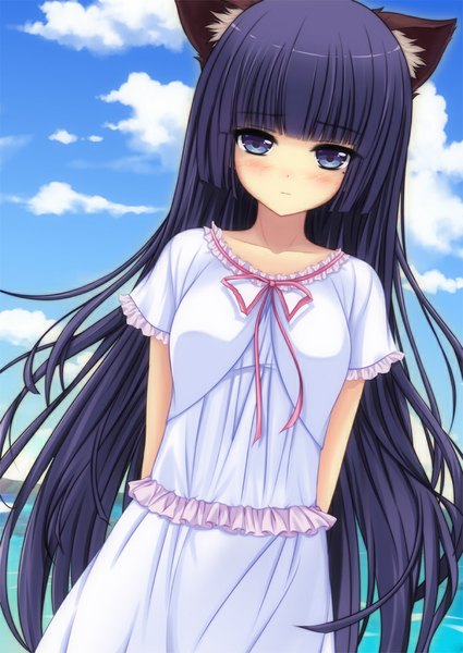 Anime picture 700x989 with ore no imouto ga konna ni kawaii wake ga nai gokou ruri natsuki (tsukiken) single long hair tall image looking at viewer blush fringe blue eyes standing animal ears sky purple hair cloud (clouds) cat ears cat girl hands behind back girl dress