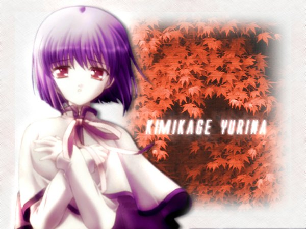 Anime picture 1024x768 with canvas (anime) kimikage yurina single looking at viewer short hair purple eyes purple hair alternate hair color girl ribbon (ribbons) leaf (leaves) mantle autumn leaves