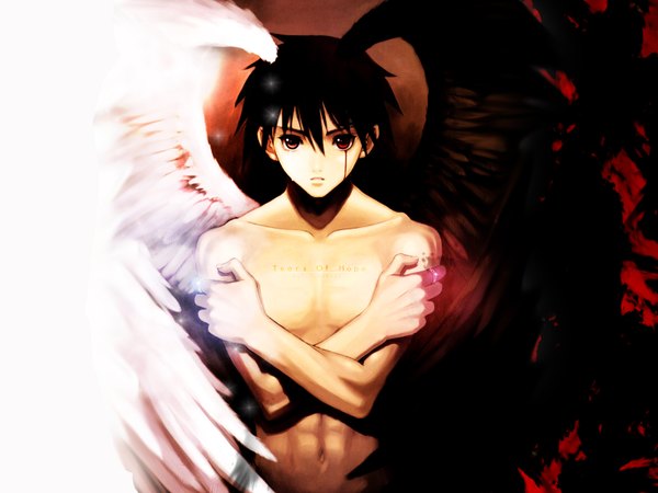 Anime picture 1600x1200 with shining (series) shining tears xion magus tony taka wings