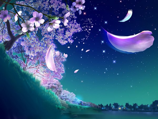 Anime picture 1024x768 with original kagaya sky night night sky cherry blossoms no people scenic flower (flowers) plant (plants) petals tree (trees) star (stars) grass stairs