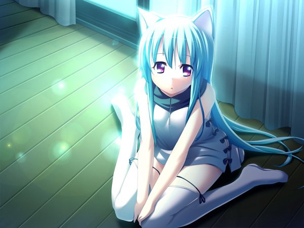 Anime picture 1200x900 with purple eyes animal ears blue hair game cg cat girl girl thighhighs white thighhighs