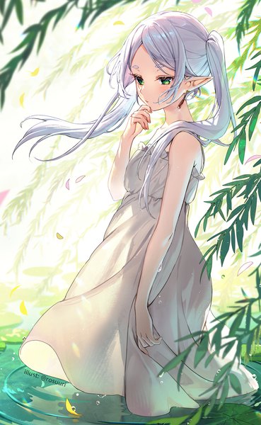 Anime picture 1200x1952 with sousou no frieren frieren rosuuri single long hair tall image twintails green eyes looking away silver hair outdoors wind pointy ears partially submerged elf girl dress plant (plants) earrings white dress