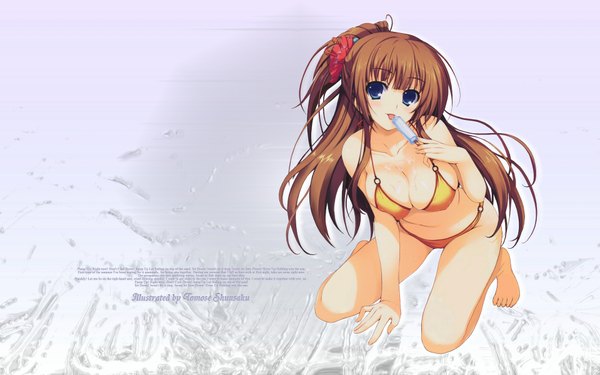 Anime picture 1920x1200 with long hair highres blue eyes light erotic brown hair wide image girl swimsuit food sweets ice cream