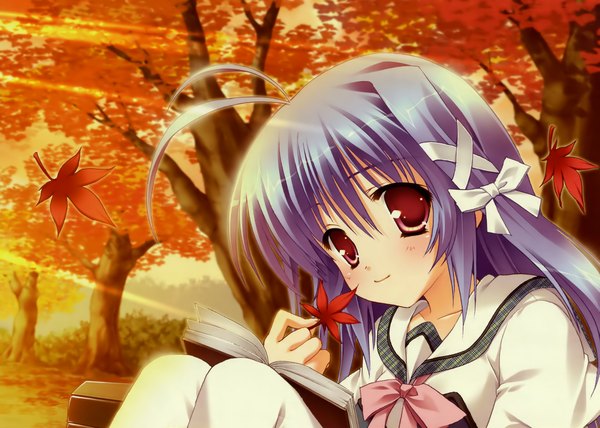 Anime picture 5600x4000 with mikoko aoi kokona hinamatsuri touko single long hair looking at viewer blush highres smile red eyes sitting absurdres purple hair ahoge sunlight autumn girl ribbon (ribbons) plant (plants) hair ribbon