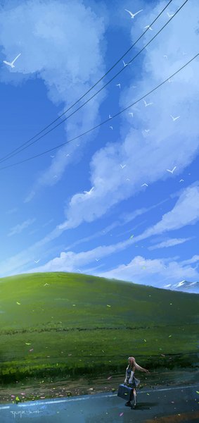 Anime picture 800x1695 with original chaoyuanxu single long hair tall image blonde hair signed sky cloud (clouds) wind field no face girl thighhighs detached sleeves animal white thighhighs bird (birds) wire (wires) road