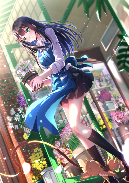 Anime picture 1102x1560 with idolmaster idolmaster cinderella girls shibuya rin swordsouls single long hair tall image blush fringe breasts holding green eyes bent knee (knees) pleated skirt wind legs twisty sleeves girl skirt uniform