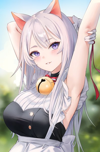 Anime picture 2318x3508 with original emyo single long hair tall image looking at viewer fringe highres breasts smile large breasts purple eyes animal ears payot silver hair upper body outdoors head tilt blurry cat ears