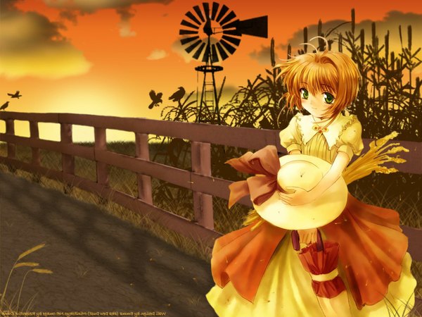 Anime picture 1600x1200 with card captor sakura clamp kinomoto sakura windmill tagme