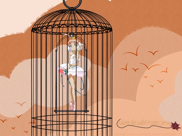 Anime picture 1600x1200 with princess tutu ahiru arima princess tutu (character) sky rose (roses) cage tutu