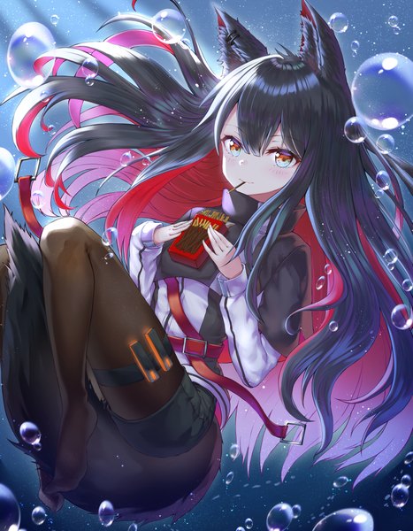 Anime picture 3070x3943 with arknights texas (arknights) wakum single long hair tall image looking at viewer blush fringe highres black hair hair between eyes holding animal ears absurdres bent knee (knees) red hair tail long sleeves animal tail