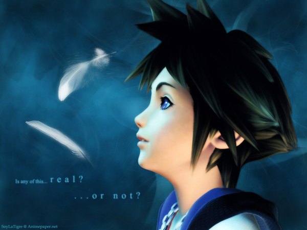 Anime picture 1600x1200 with kingdom hearts square enix sora (kingdom hearts) single short hair blue eyes black hair profile inscription boy feather (feathers)