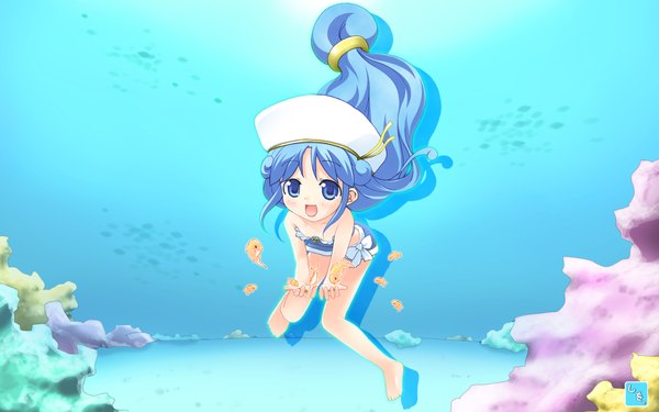 Anime picture 1920x1200 with fushigiboshi no futago hime rein single looking at viewer blush highres open mouth blue eyes wide image blue hair barefoot loli underwater soft beauty girl swimsuit animal fish (fishes) coral