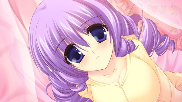 Anime picture 1280x720 with strawberry feels long hair blush breasts blue eyes light erotic wide image large breasts game cg purple hair drill hair girl pajamas