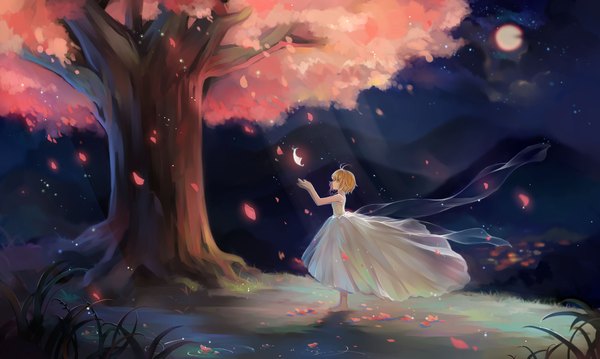 Anime picture 2362x1417 with tsubasa reservoir chronicle clamp sakura hime duximeng single highres short hair blue eyes blonde hair wide image ahoge profile barefoot night cherry blossoms girl dress plant (plants) petals tree (trees)