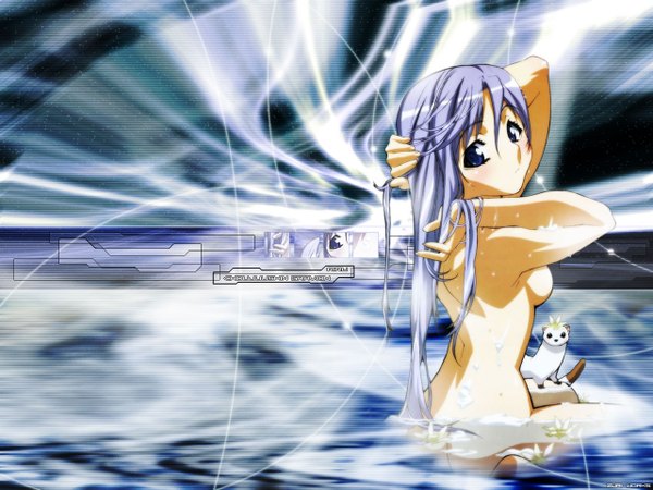 Anime picture 1280x960 with gravion gonzo light erotic ferret tagme