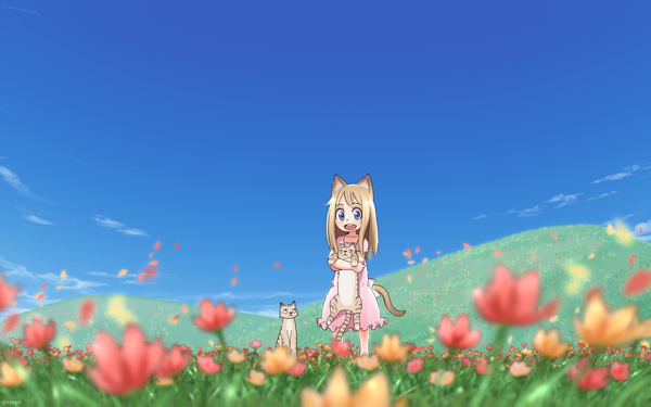 Anime picture 1920x1200 with original shapoco single long hair looking at viewer highres open mouth blue eyes blonde hair smile standing animal ears sky tail :d animal tail blurry cat ears short sleeves cat girl