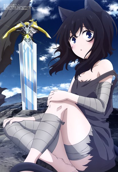 Anime picture 4083x5936 with tensei shitara ken deshita megami magazine fran (tensei shitara ken deshita) shishou (tensei shitara ken deshita) saitou atsuko single tall image looking at viewer blush fringe highres short hair blue eyes black hair sitting animal ears absurdres sky cloud (clouds) outdoors
