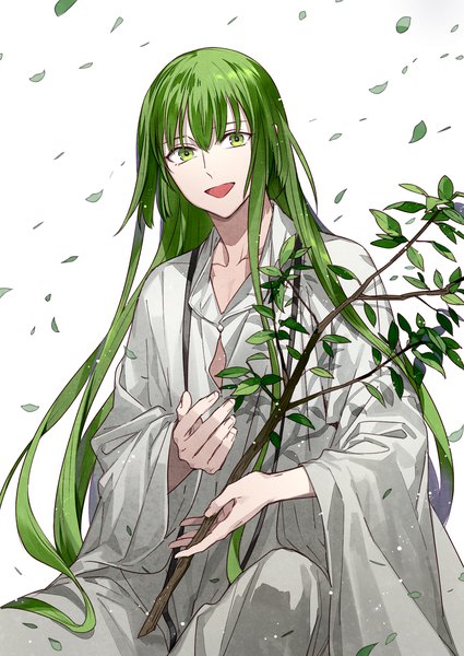 Anime picture 1253x1770 with fate (series) fate/strange fake enkidu (fate) tayuya1130 single tall image looking at viewer fringe open mouth white background sitting green eyes very long hair :d green hair androgynous boy leaf (leaves) branch