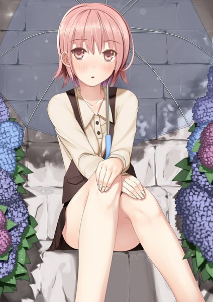 Anime picture 707x1000 with original kinugasa yuuichi single tall image looking at viewer blush short hair open mouth sitting pink hair pink eyes transparent umbrella girl flower (flowers) umbrella hydrangea