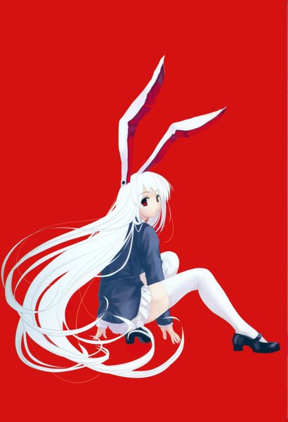 Anime picture 2077x3041 with touhou reisen udongein inaba cradle (artist) single long hair tall image highres simple background red eyes animal ears white hair bunny ears bunny girl red background bunny tail girl thighhighs skirt
